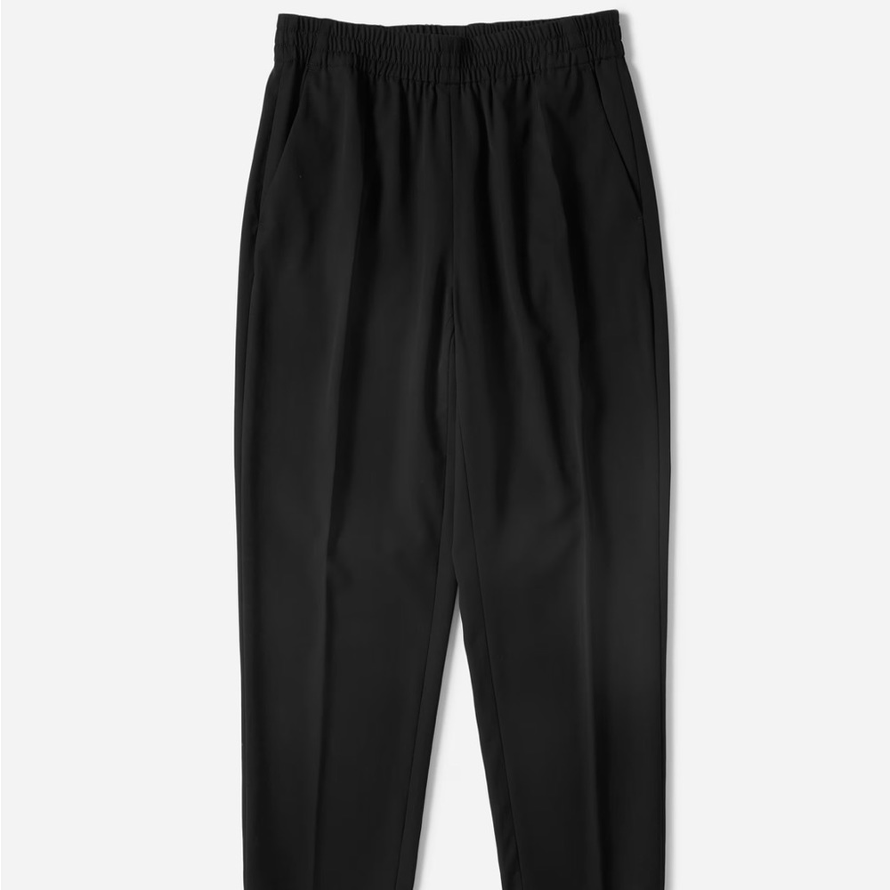 Everlane The Italian Gowrave Easy Wool pants